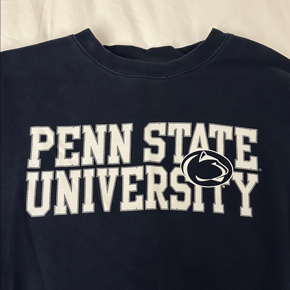 Jansport Crewneck Sweatshirt Navy with White Penn State University - Size M - Picture 3 of 6